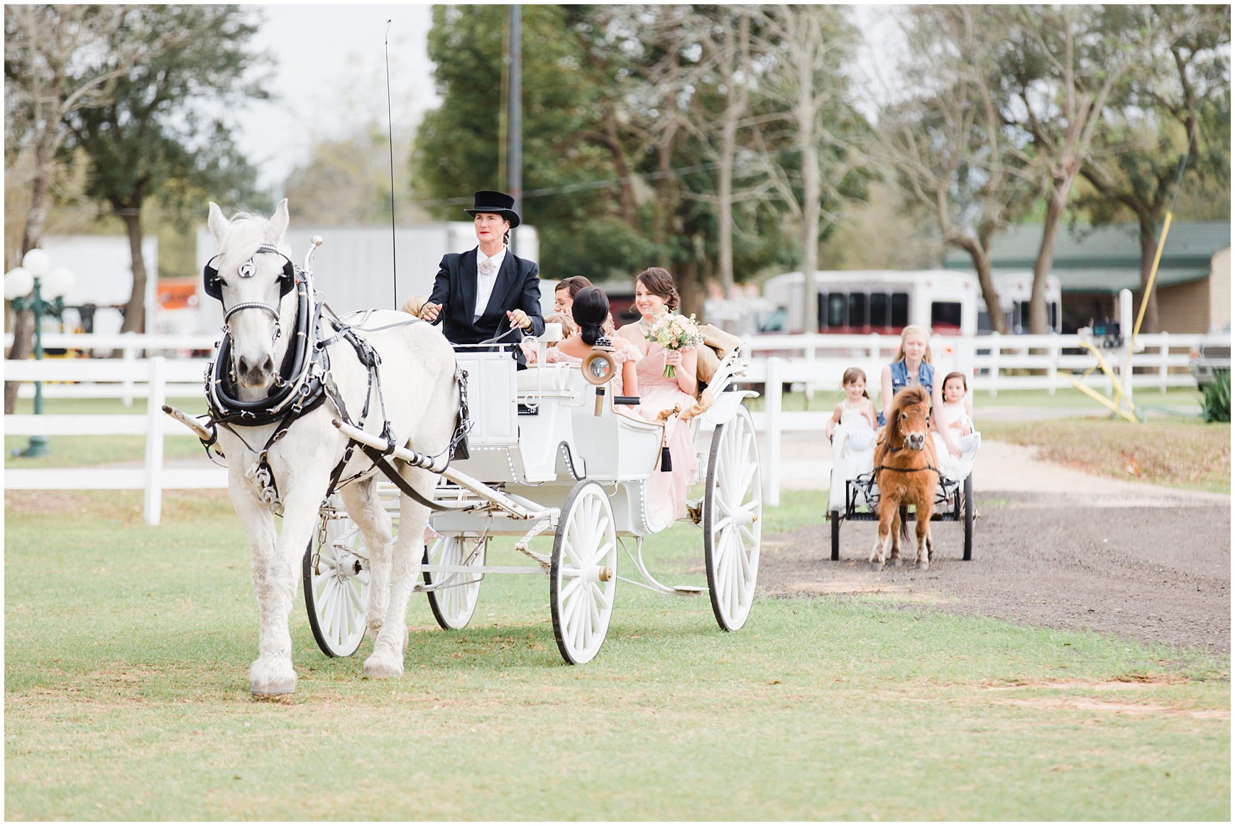 Bridal Party arriving in horse drawn carriage